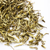 Silver Needle White Tea